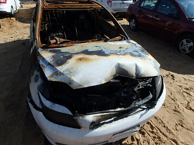 JTKDE177870175563 - 2007 TOYOTA SCION TC დამწვარი ფოტო 7