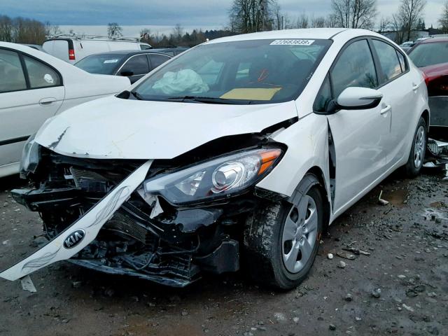 KNAFX4A62G5497224 - 2016 KIA FORTE LX WHITE photo 2