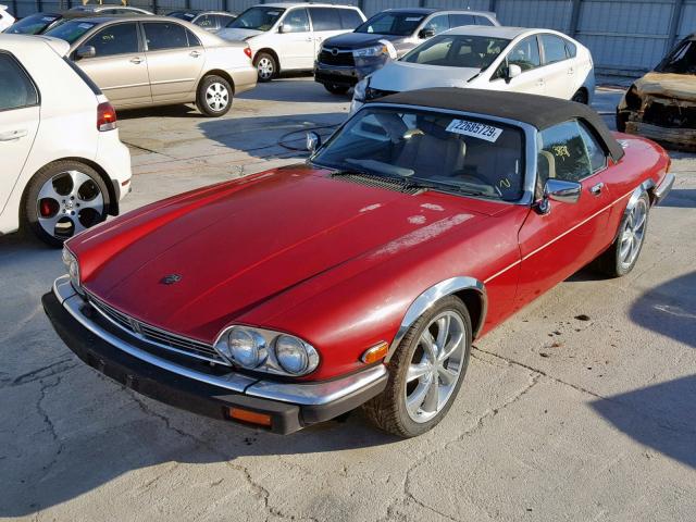 SAJNV4840KC159125 - 1989 JAGUAR XJS RED photo 2