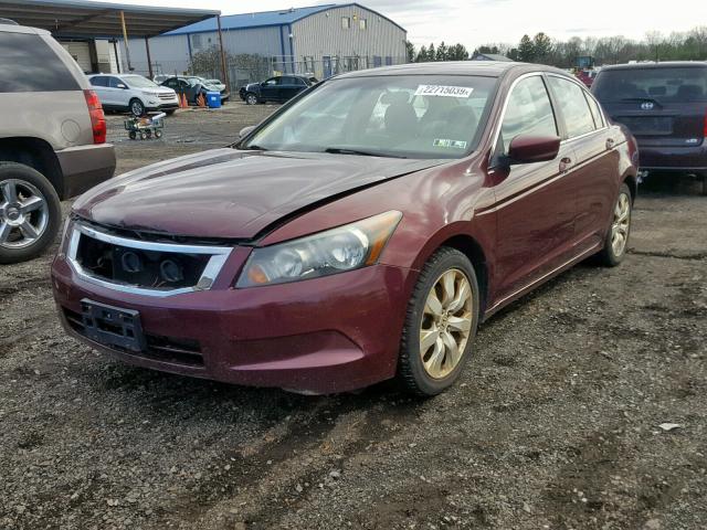 1HGCP267X8A104382 - 2008 HONDA ACCORD EX RED photo 2