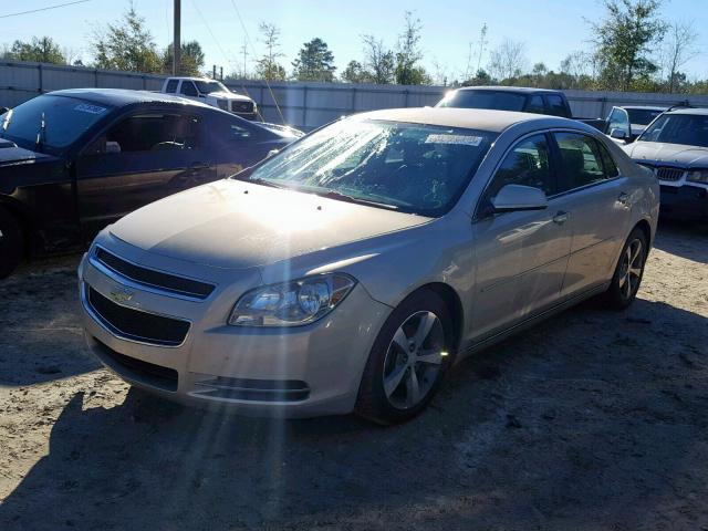 1G1ZJ57B69F110921 - 2009 CHEVROLET MALIBU 2LT GOLD photo 2