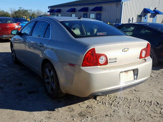 1G1ZJ57B69F110921 - 2009 CHEVROLET MALIBU 2LT GOLD photo 3