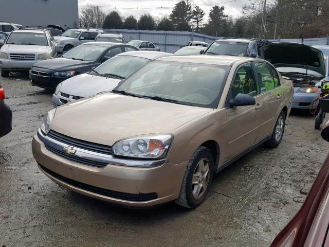 1G1ZT52815F298408 - 2005 CHEVROLET MALIBU LS 金色 照片 2