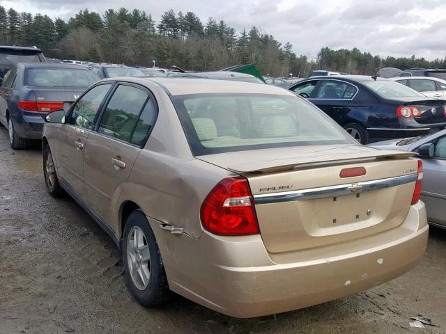 1G1ZT52815F298408 - 2005 CHEVROLET MALIBU LS 金色 照片 3