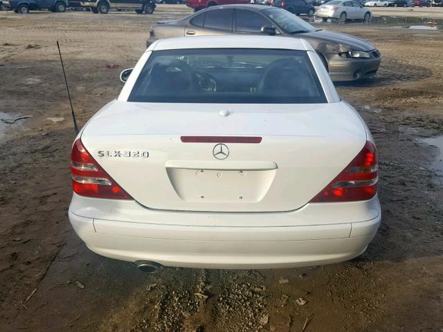 WDBKK65F14F300666 - 2004 MERCEDES-BENZ SLK 320 WHITE photo 6