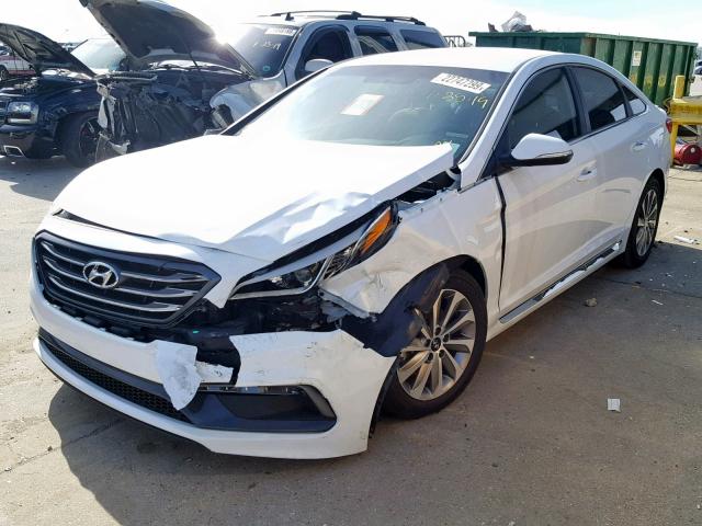 5NPE34AF8GH420593 - 2016 HYUNDAI SONATA SPO WHITE photo 2