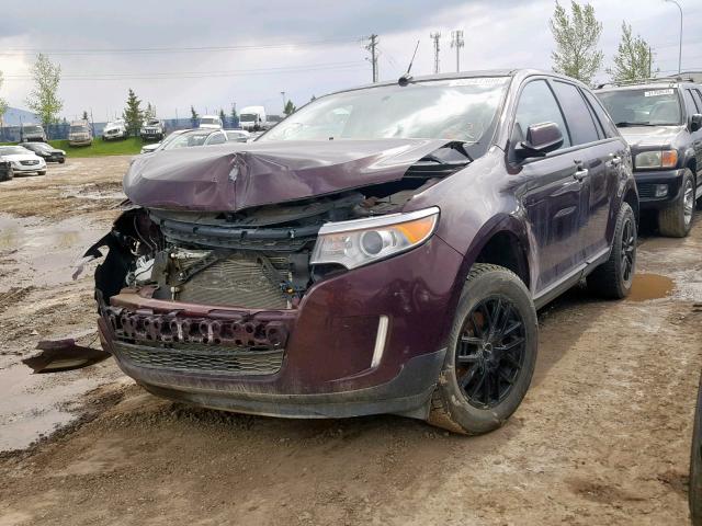 2FMDK3JC5BBB16345 - 2011 FORD EDGE SEL BURGUNDY photo 2