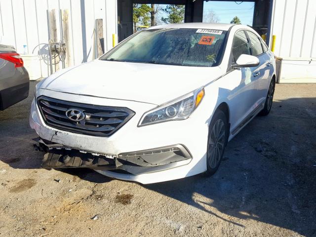 5NPE34AF5FH150916 - 2015 HYUNDAI SONATA SPO WHITE photo 2