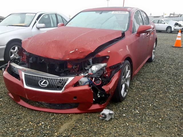 JTHBE262295022823 - 2009 LEXUS IS 350 RED photo 2