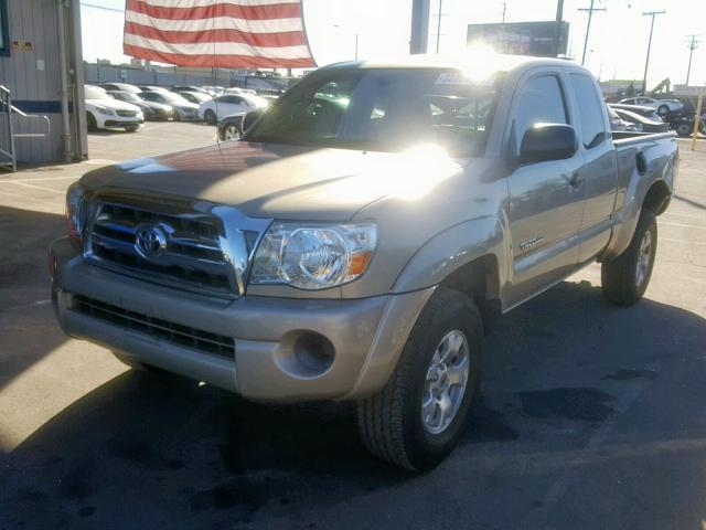 5TETX62N88Z506191 - 2008 TOYOTA TACOMA PRE GOLD photo 2