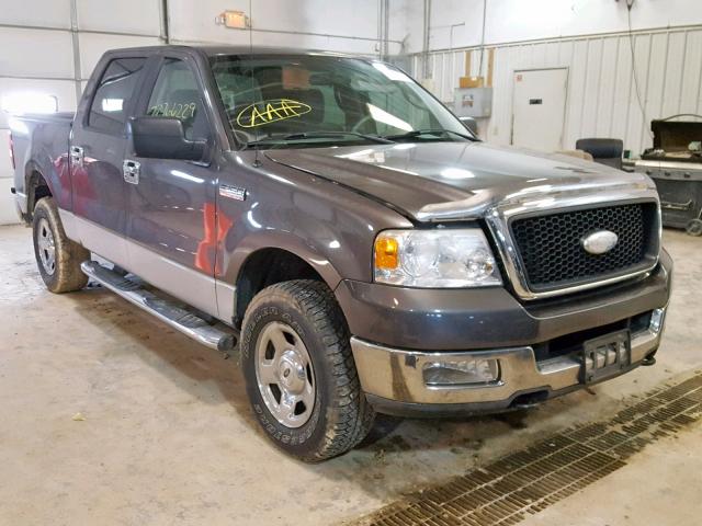 1FTPW14535KC16719 - 2005 FORD F150 SUPER GRAY photo 1