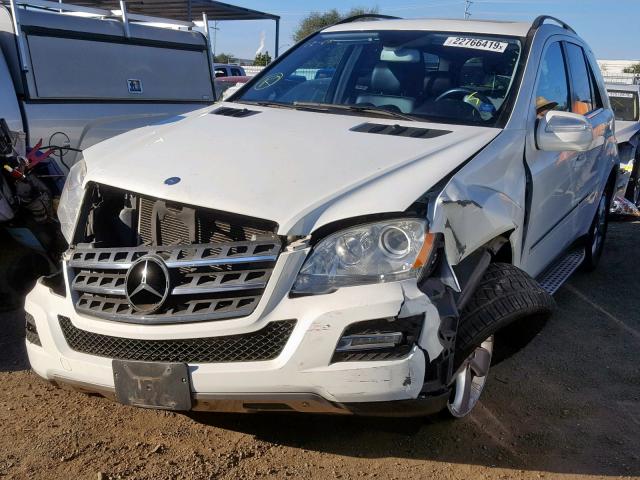 4JGBB5GB6AA567408 - 2010 MERCEDES-BENZ ML 350 白色 照片 2