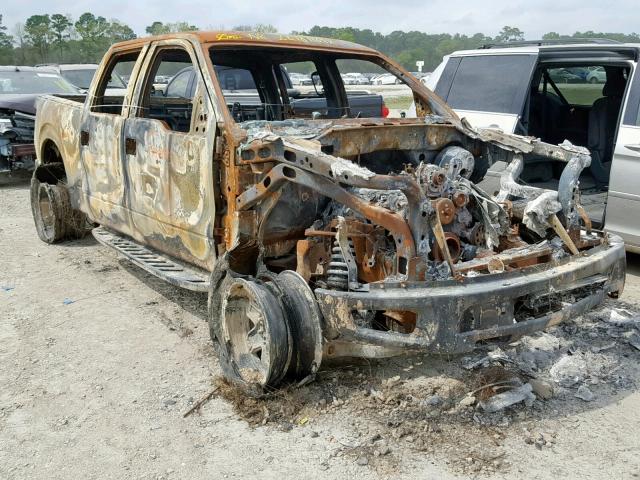 1FTFW1R63BFA99564 - 2011 FORD F150 SVT R BURN photo 1