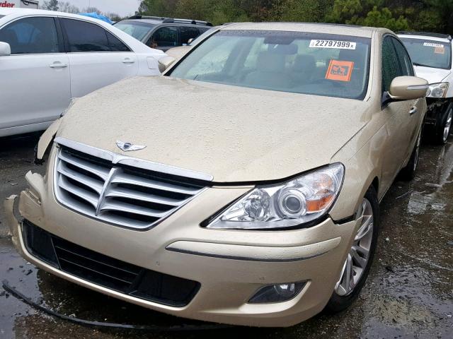 KMHGC4DF9BU139000 - 2011 HYUNDAI GENESIS 4. GOLD photo 2