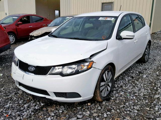 KNAFU5A23D5743995 - 2013 KIA FORTE EX WHITE photo 2