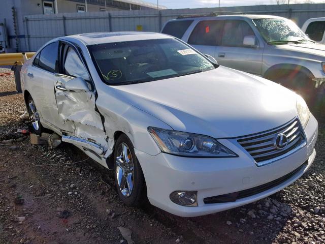 JTHBK1EG9B2450797 - 2011 LEXUS ES 350 WHITE photo 1