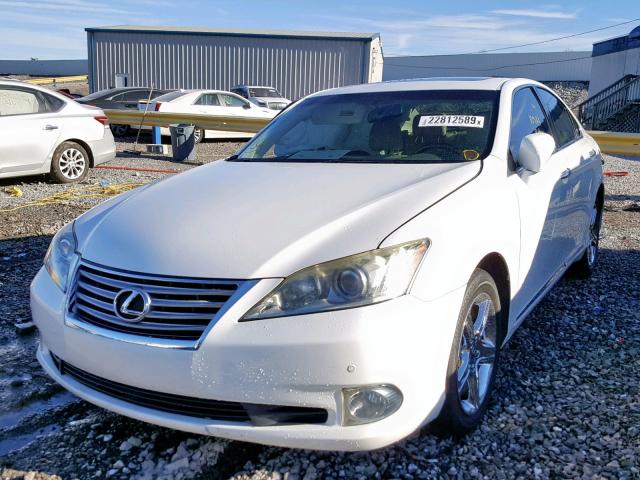 JTHBK1EG9B2450797 - 2011 LEXUS ES 350 WHITE photo 2