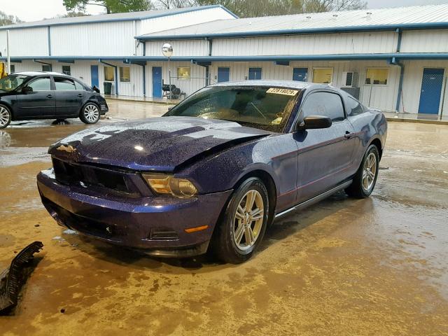 1ZVBP8AM0C5262898 - 2012 FORD MUSTANG 蓝色 照片 2