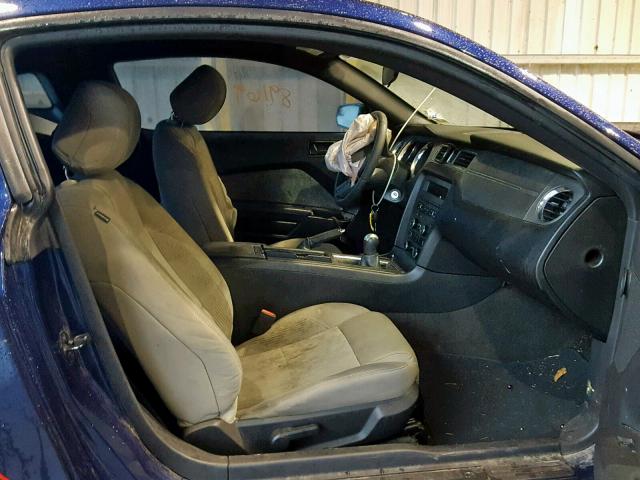 1ZVBP8AM0C5262898 - 2012 FORD MUSTANG 蓝色 照片 5