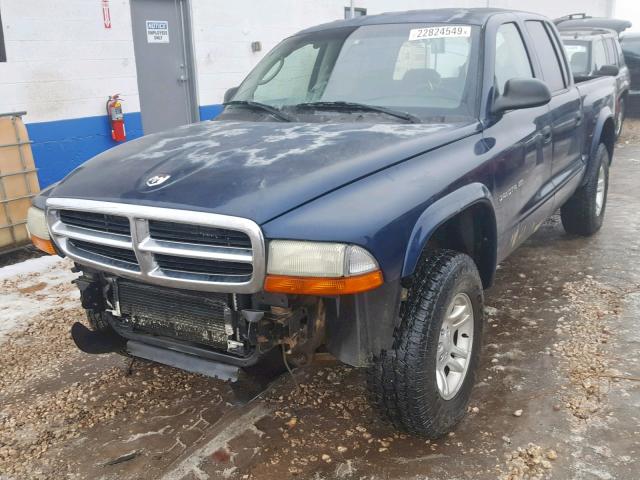 1B7HG48N42S653623 - 2002 DODGE DAKOTA QUA BLUE photo 2