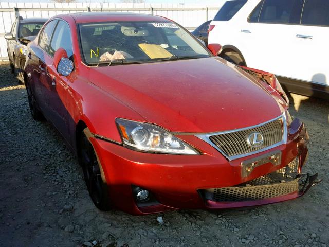 JTHBF5C23B5146754 - 2011 LEXUS IS 250 RED photo 1