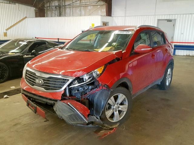 KNDPBCA21D7403069 - 2013 KIA SPORTAGE L RED photo 2
