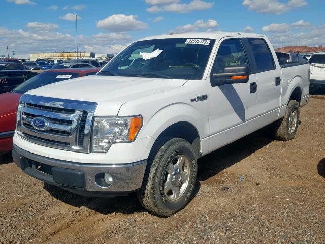 1FTFW1EF7BFC66451 - 2011 FORD F150 SUPER WHITE photo 2