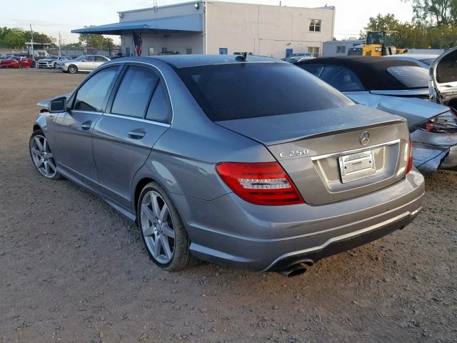 WDDGF4HB1EA959912 - 2014 MERCEDES-BENZ C 250 GRAY photo 3