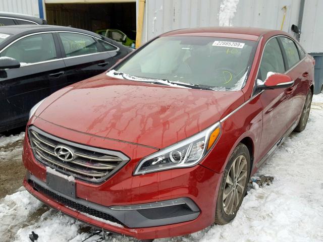 5NPE34AF9FH239064 - 2015 HYUNDAI SONATA SPO BURGUNDY photo 2