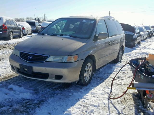 2HKRL18631H568177 - 2001 HONDA ODYSSEY EX ذهبي صورة 2