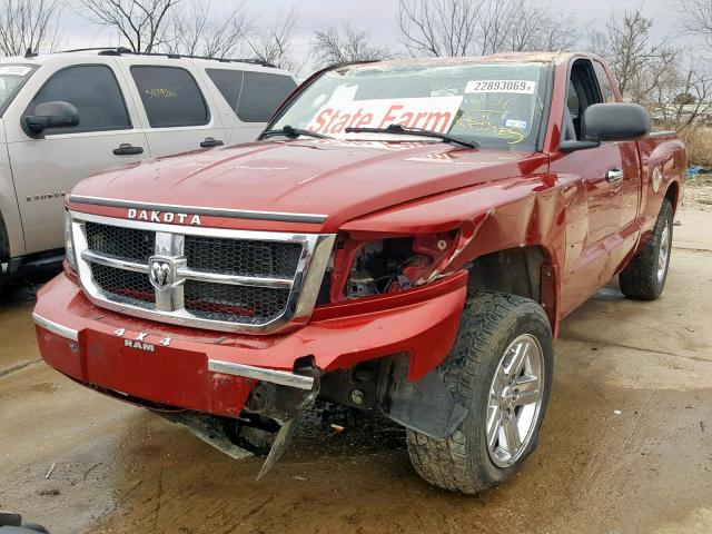 1D7HW42N98S551647 - 2008 DODGE DAKOTA SLT BURGUNDY photo 2