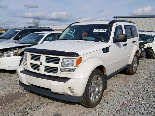 1D4PU4GK9AW165404 - 2010 DODGE NITRO HEAT WHITE photo 2