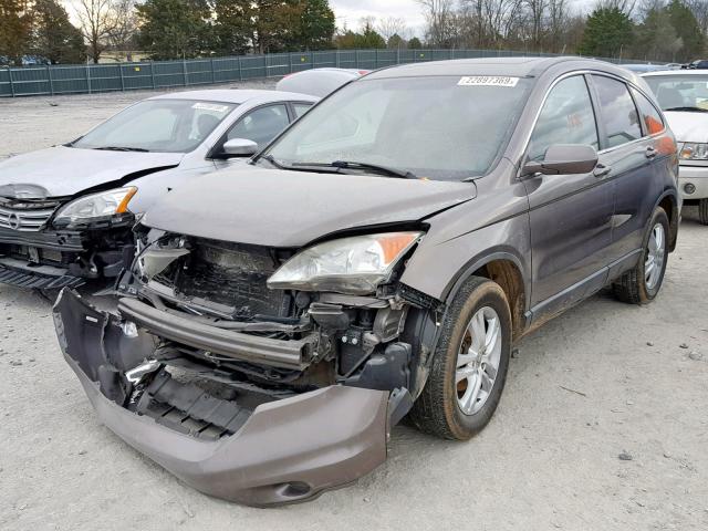 5J6RE4H71AL025498 - 2010 HONDA CR-V EXL GOLD photo 2