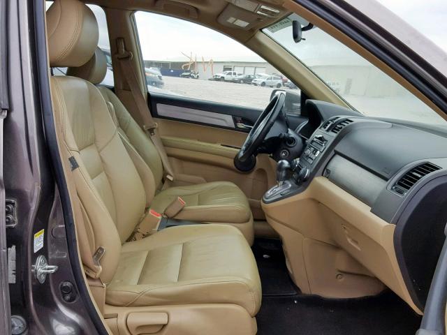 5J6RE4H71AL025498 - 2010 HONDA CR-V EXL GOLD photo 5