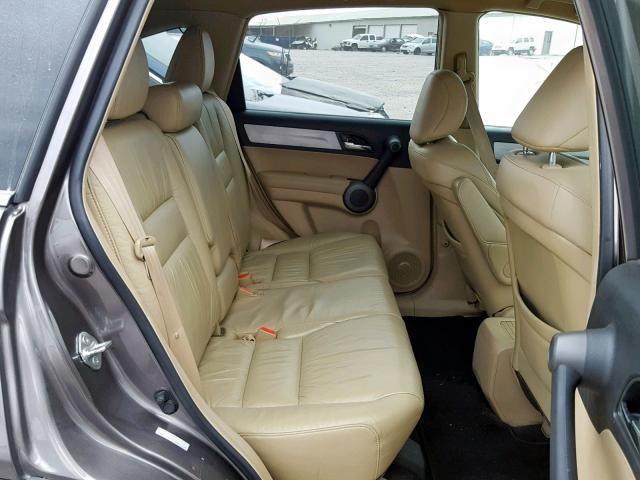 5J6RE4H71AL025498 - 2010 HONDA CR-V EXL GOLD photo 6