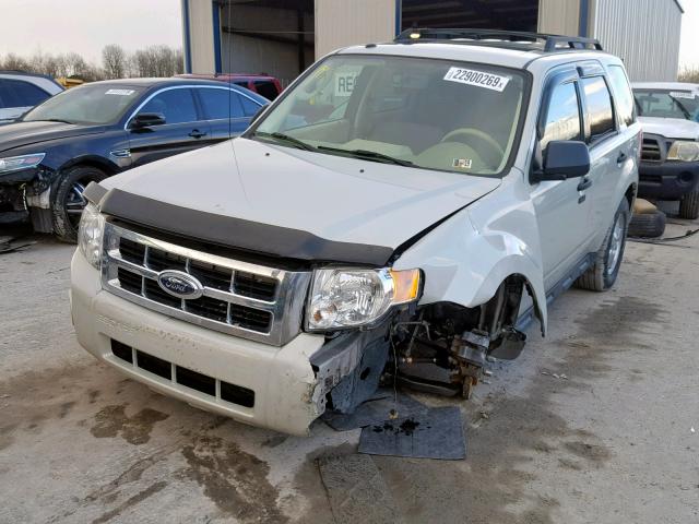 1FMCU93G59KC67596 - 2009 FORD ESCAPE XLT CREAM photo 2