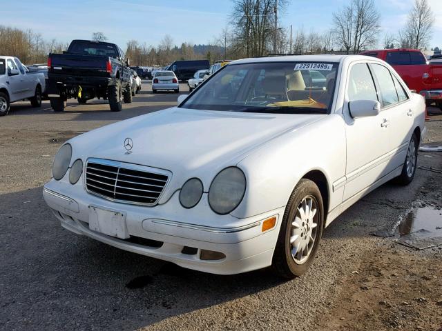 WDBJF65J81B329069 - 2001 MERCEDES-BENZ E 320 WHITE photo 2