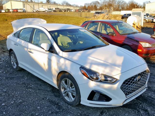 5NPE34AF5JH725699 - 2018 HYUNDAI SONATA SPO WHITE photo 1