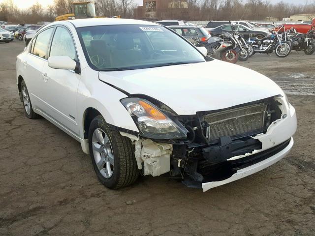 1N4CL21E17C190660 - 2007 NISSAN ALTIMA HYB WHITE photo 1