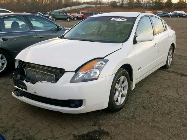 1N4CL21E17C190660 - 2007 NISSAN ALTIMA HYB WHITE photo 2