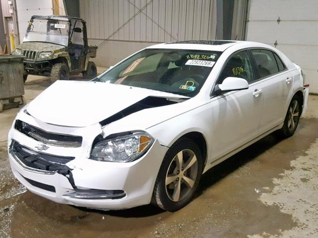 1G1ZC5E19BF375505 - 2011 CHEVROLET MALIBU 1LT 白色 照片 2