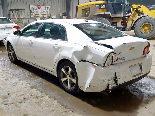 1G1ZC5E19BF375505 - 2011 CHEVROLET MALIBU 1LT 白色 照片 3