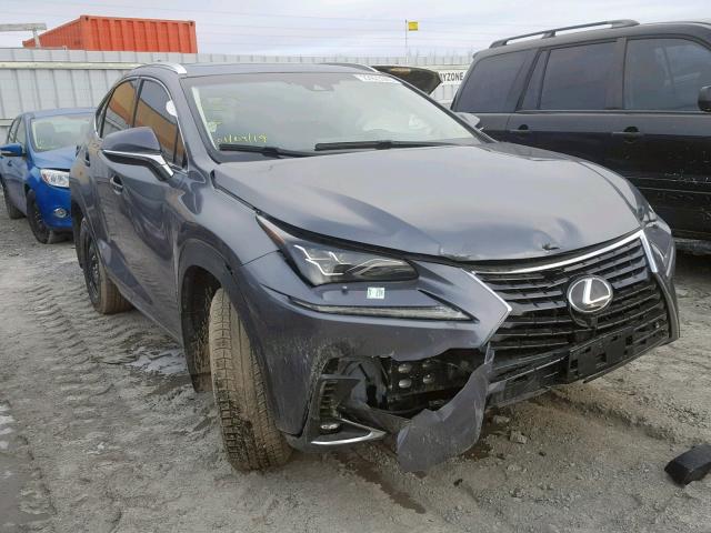 JTJBARBZ7J2171465 - 2018 LEXUS NX 300 GRAY photo 1