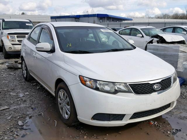 KNAFU4A25D5656206 - 2013 KIA FORTE EX WHITE photo 1