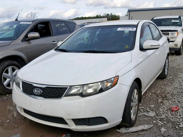 KNAFU4A25D5656206 - 2013 KIA FORTE EX WHITE photo 2