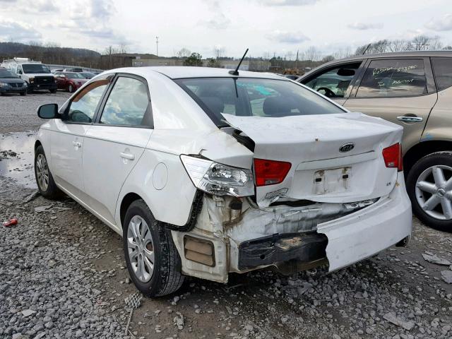 KNAFU4A25D5656206 - 2013 KIA FORTE EX WHITE photo 3