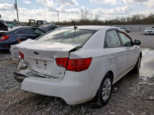 KNAFU4A25D5656206 - 2013 KIA FORTE EX WHITE photo 4