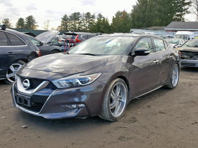 1N4AA6APXGC905053 - 2016 NISSAN MAXIMA 3.5 BROWN photo 2