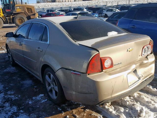 1G1ZJ57B98F216455 - 2008 CHEVROLET MALIBU 2LT GOLD photo 3