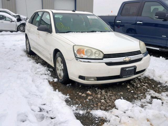 1G1ZU64885F187418 - 2005 CHEVROLET MALIBU MAX თეთრი ფოტო 1